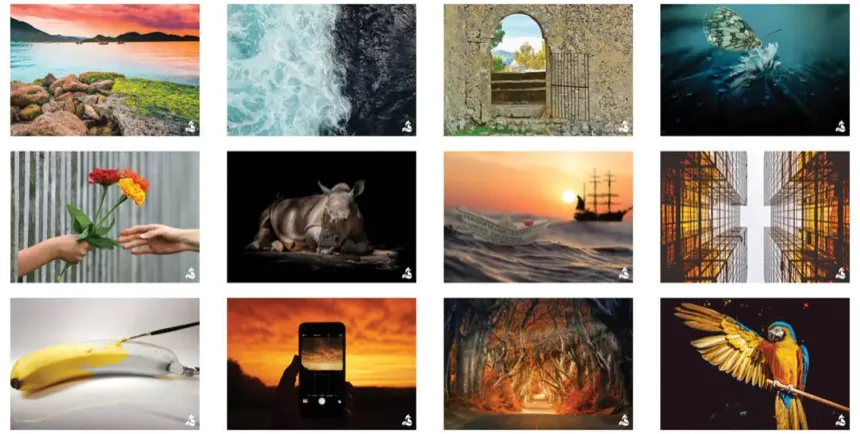 deep pictures « Psychologie positive »